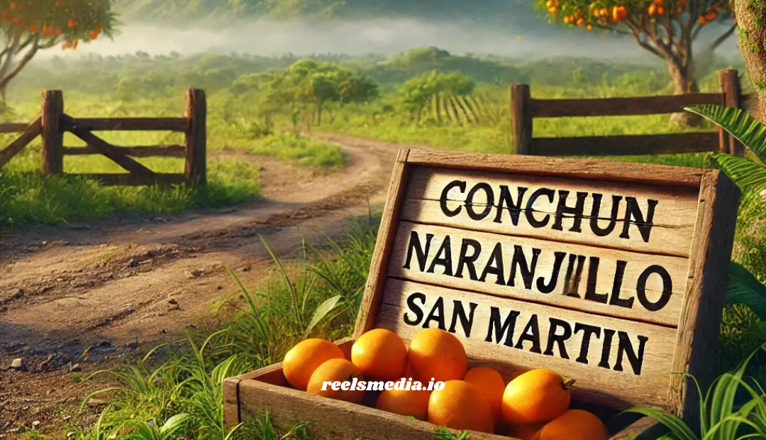 Conchun Naranjillo