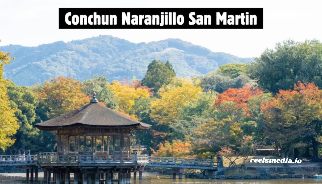 Conchun Naranjillo