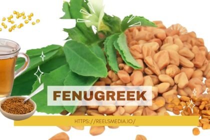 foenegriek
